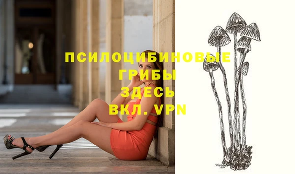 ПСИЛОЦИБИНОВЫЕ ГРИБЫ Баксан