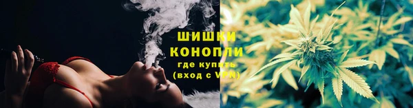 ПСИЛОЦИБИНОВЫЕ ГРИБЫ Баксан