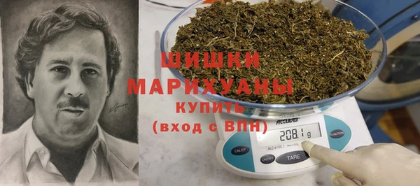 ПСИЛОЦИБИНОВЫЕ ГРИБЫ Баксан