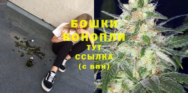 ПСИЛОЦИБИНОВЫЕ ГРИБЫ Баксан