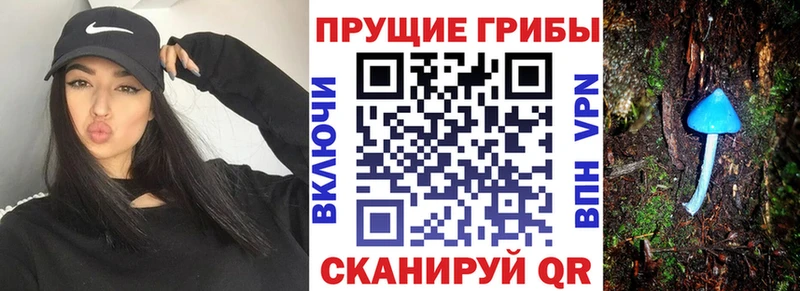 blacksprut ТОР  Беслан  Псилоцибиновые грибы Cubensis 